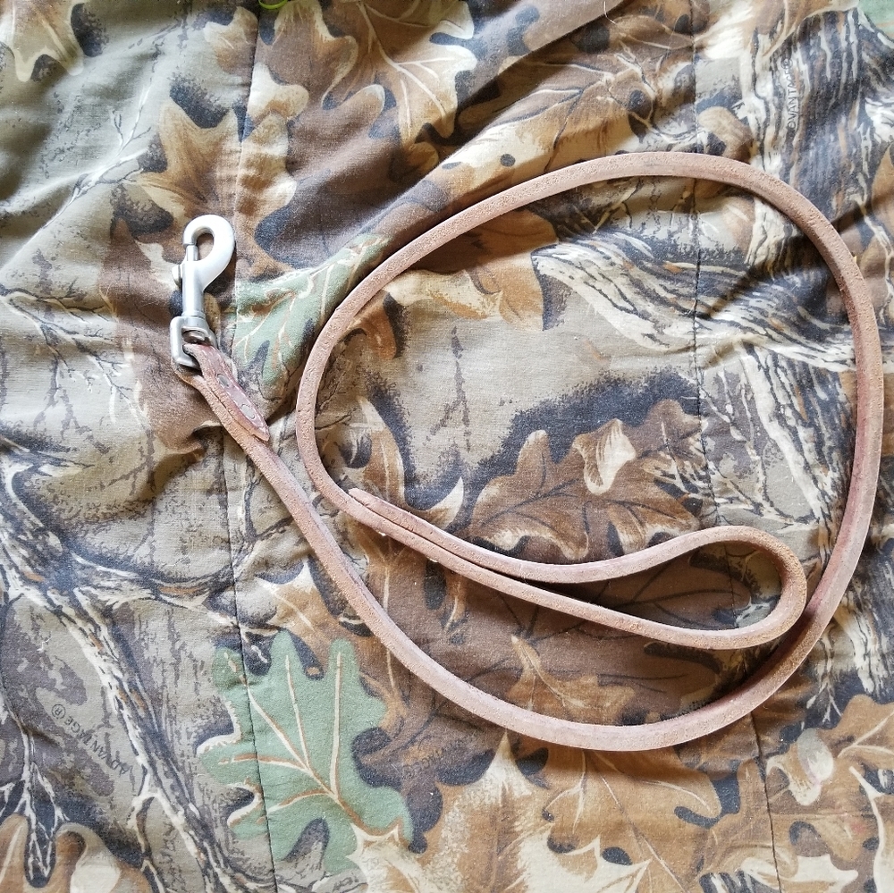 Leather dog leash
